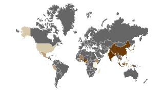 إنتاج الزنجبيل في العالم حسب البلد Thumbnail