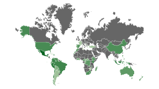 World's top Avacado Producing Countries Thumbnail