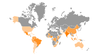 World's top Papaya Producing Countries Thumbnail