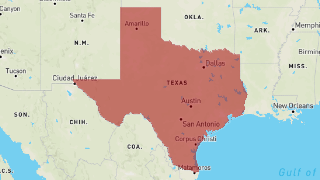 Texas Thumbnail
