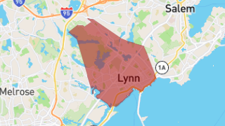 Lynn Thumbnail