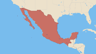 Mexico Thumbnail